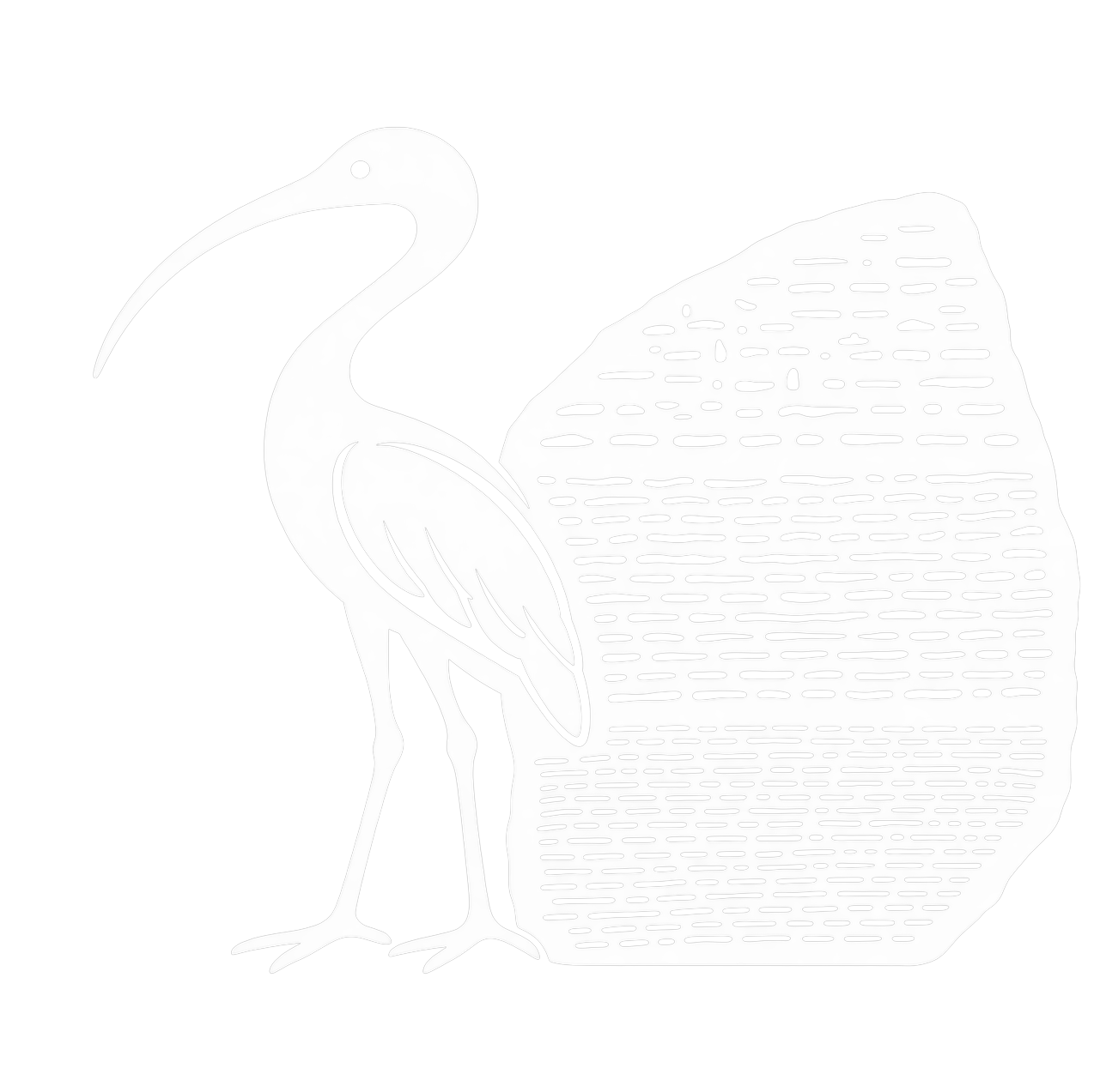 Decifra